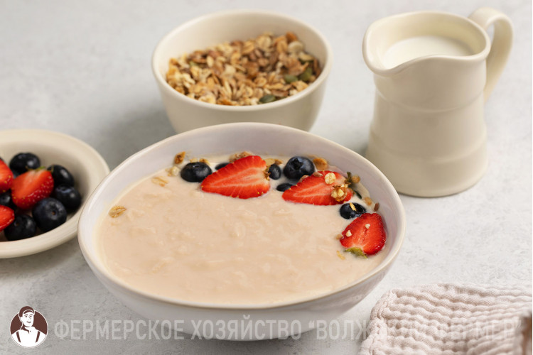 n_yogurt_termostat-1-750x500