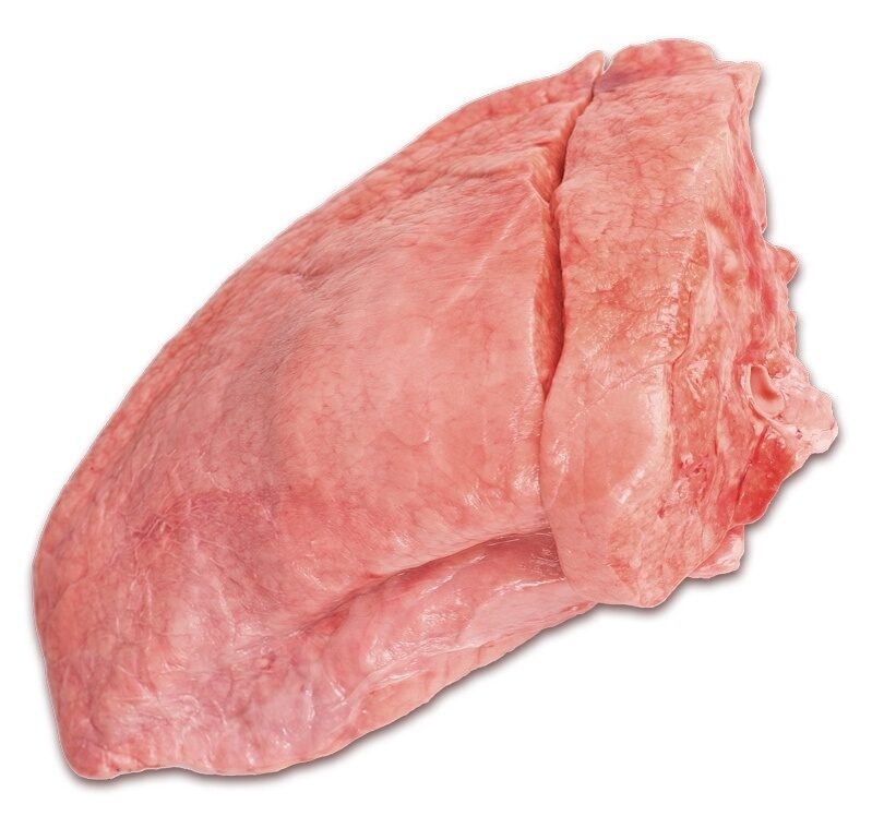 UPBmmnFE1E2CNH3XwvdYA