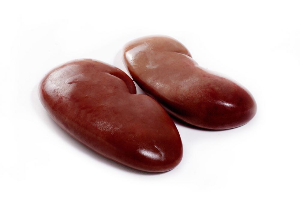 Почки свиные