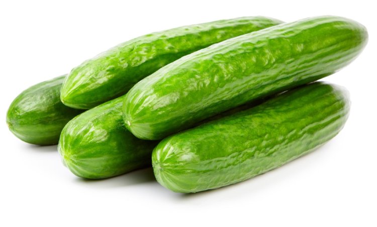 Огурец свежий cреднеплодный