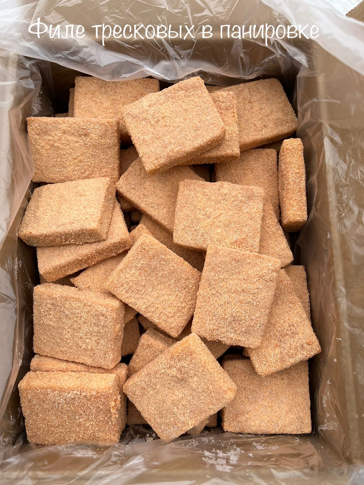 WhatsApp Image 2025-08-25 at 18.21.44