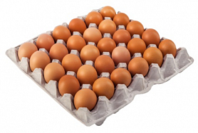 559591372d6fbed6a5dbe2a82c60bafc