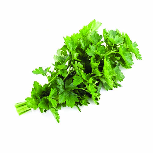 Петрушка свежая